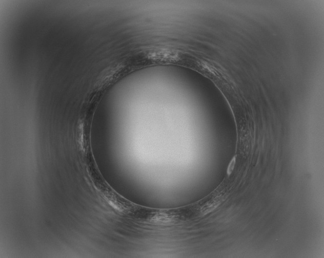 X0000076050416200610061515