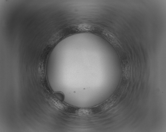 X0000076050418200610061515