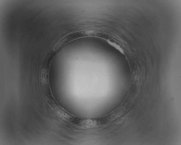 X0000076050421200610061515