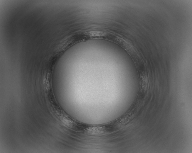 X0000076050422200610061515