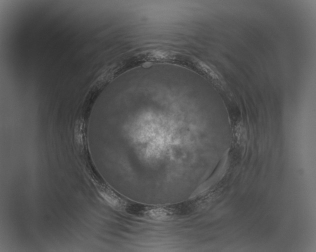 X0000076050423200610061515