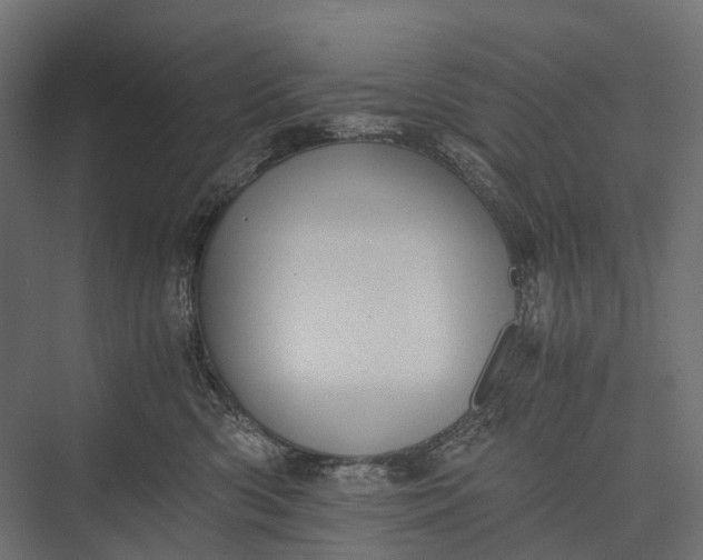 X0000076050426200610061515