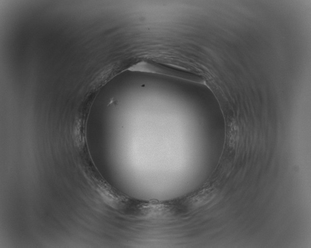 X0000076050428200610061515