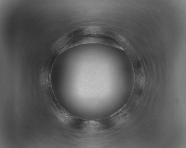 X0000076050429200610061515