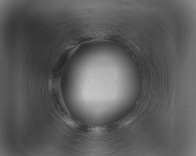 X0000076050432200610061515