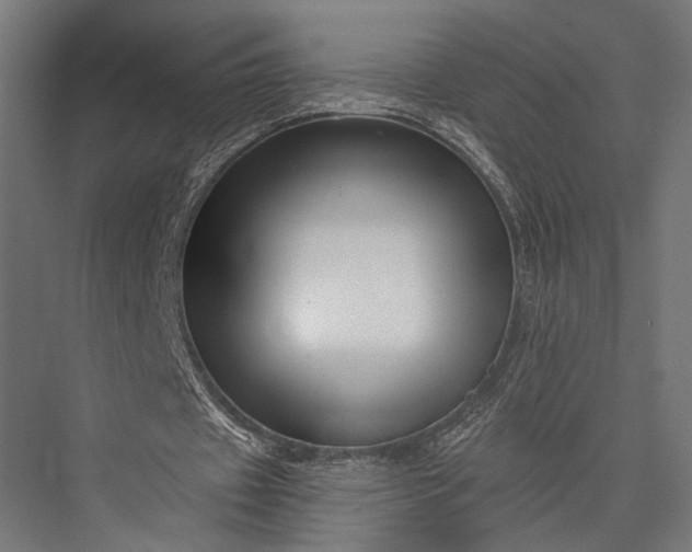 X0000076050433200610061514