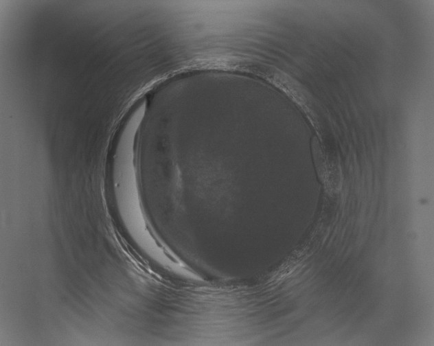 X0000076050434200610061514