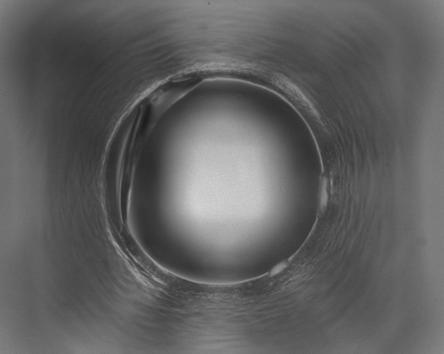 X0000076050436200610061514