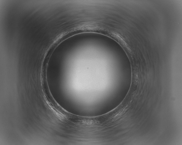 X0000076050439200610061514