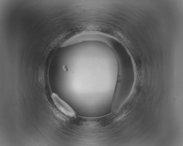 X0000076050444200610061514