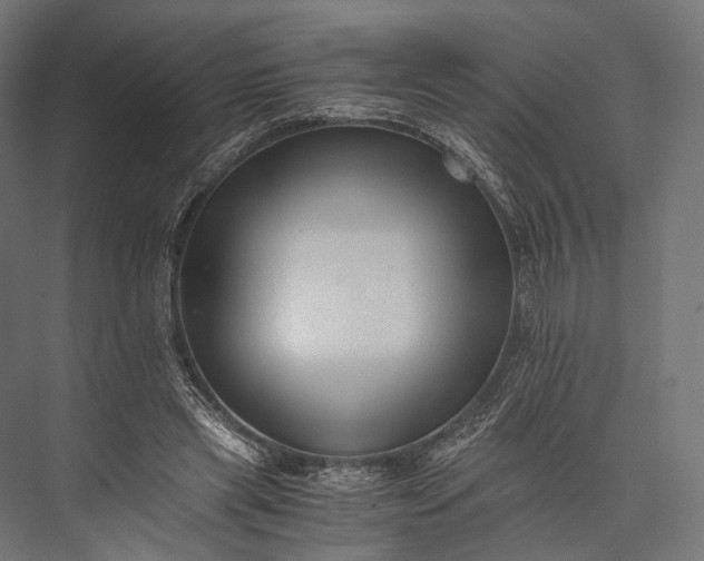X0000076050445200610061514
