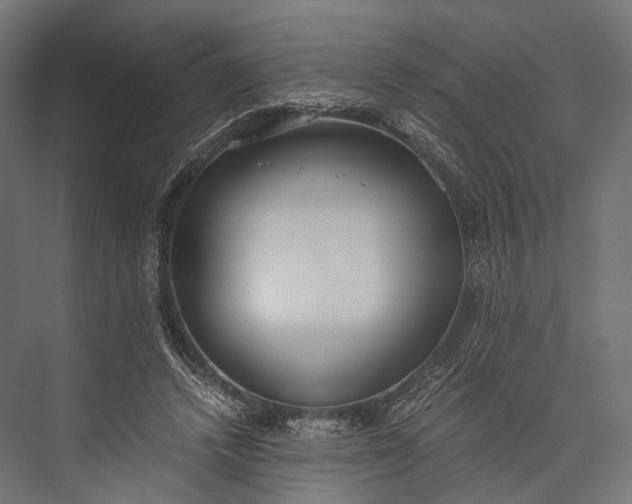 X0000076050448200610061514