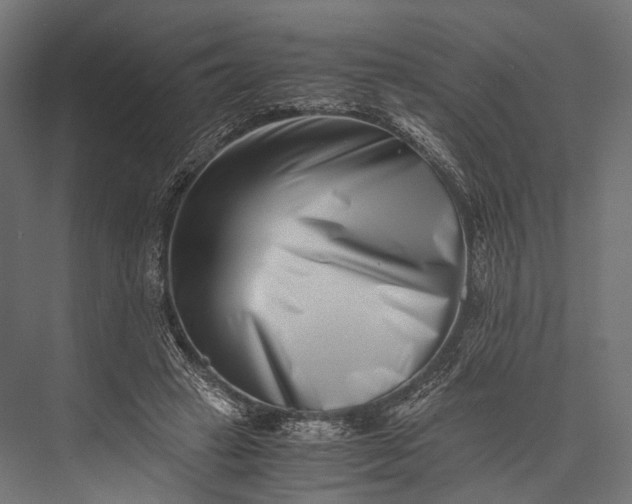 X0000076050449200610061514