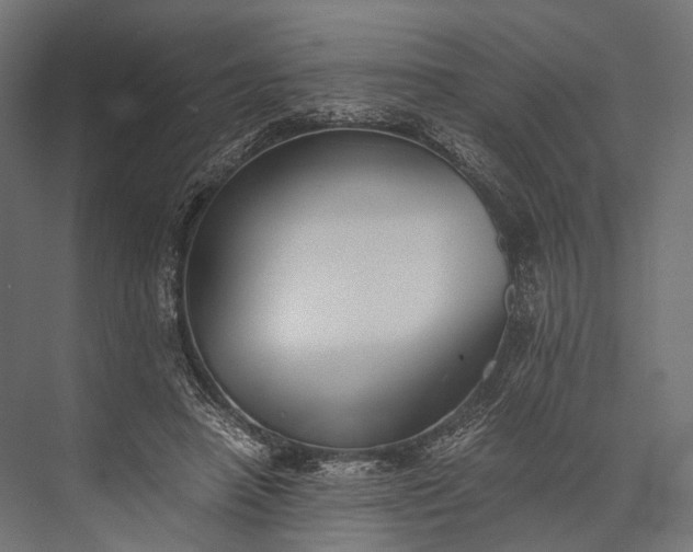 X0000076050450200610061514