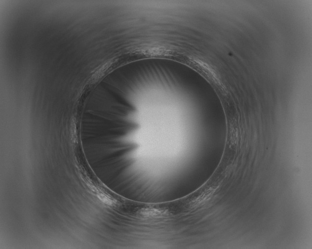 X0000076050453200610061514
