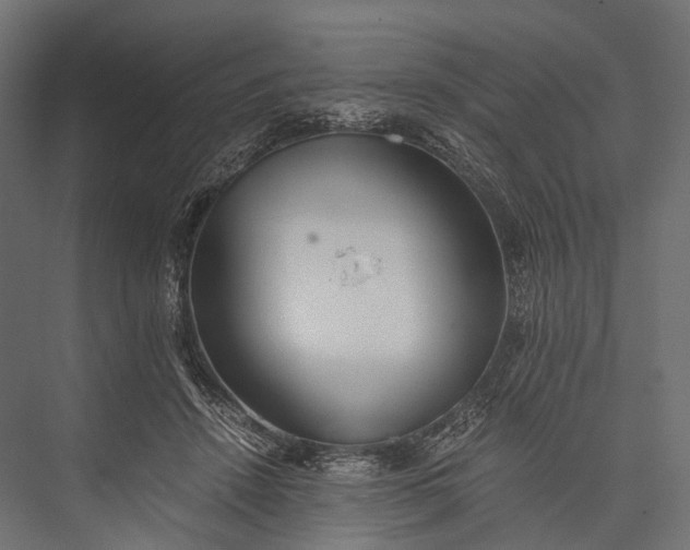 X0000076050456200610061514