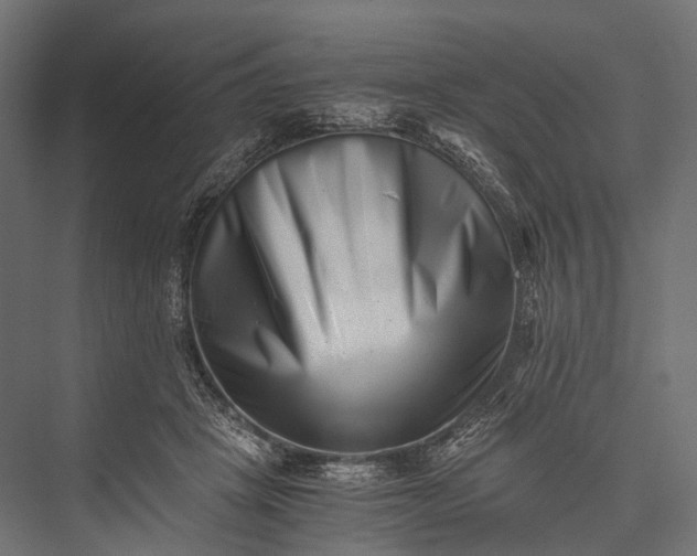 X0000076050457200610061514