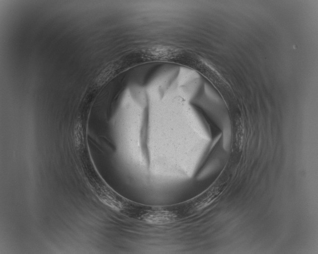X0000076050459200610061514