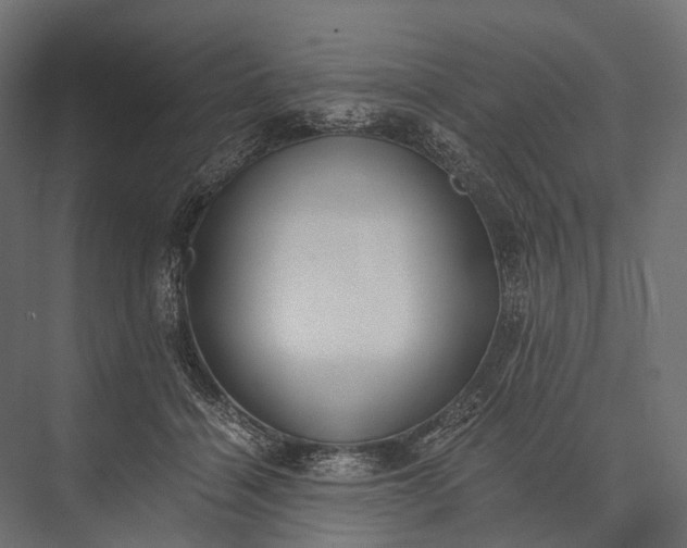 X0000076050460200610061514