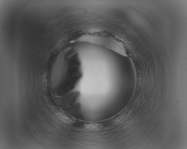 X0000076050461200610061514