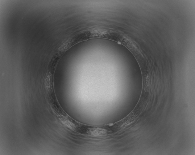 X0000076050463200610061514