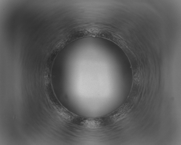 X0000076050464200610061514