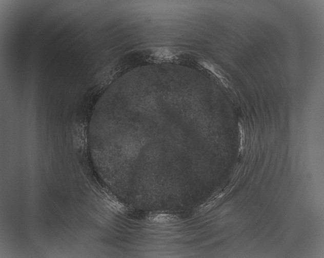 X0000076050467200610061515
