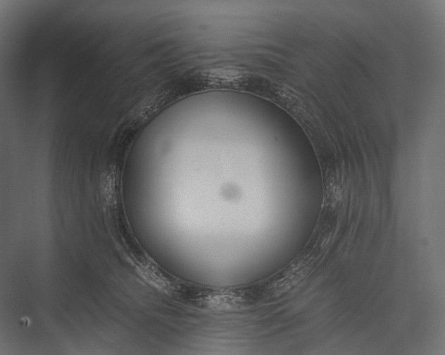 X0000076050468200610061515