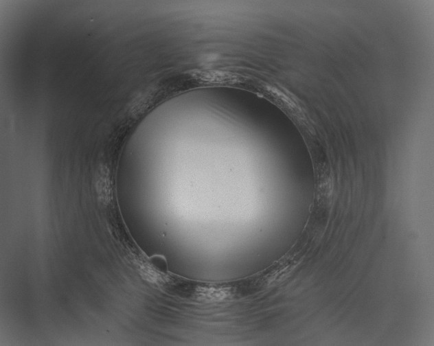 X0000076050469200610061515