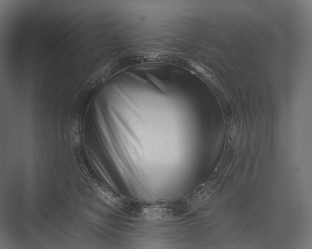 X0000076050470200610061515