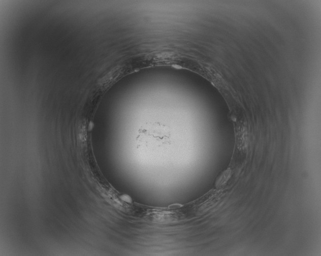 X0000076050472200610061515