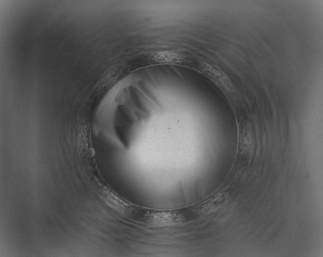 X0000076050473200610061515