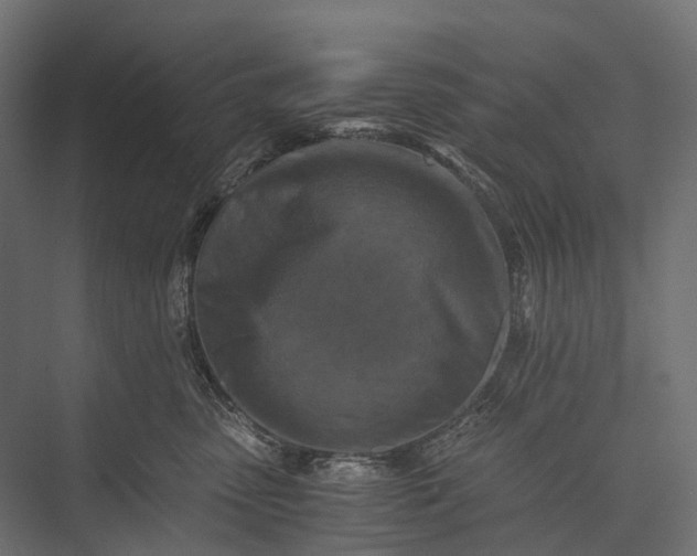 X0000076050475200610061515