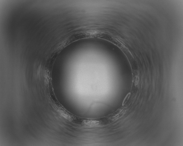 X0000076050476200610061515