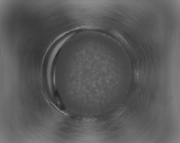 X0000076050484200610061514
