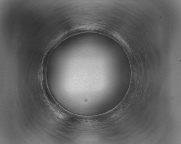X0000076050486200610061514