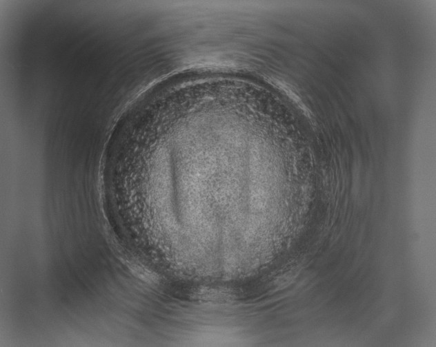 X0000076050487200610061514