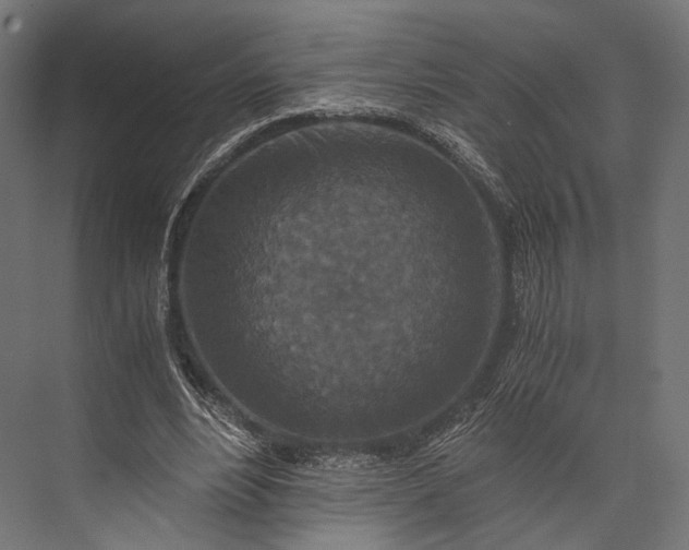X0000076050488200610061514