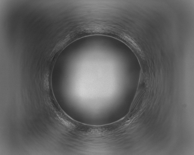 X0000076050489200610061514