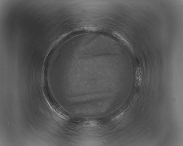 X0000076050492200610061514