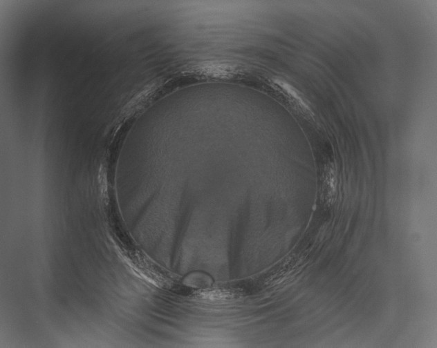 X0000076050500200610061514