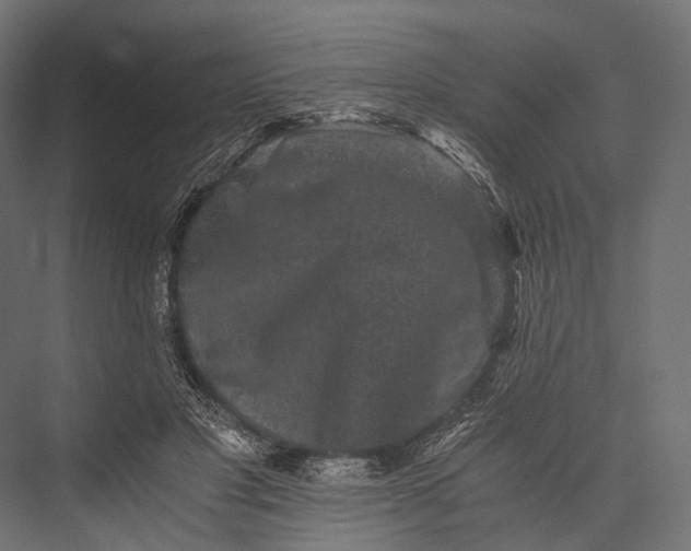 X0000076050501200610061514