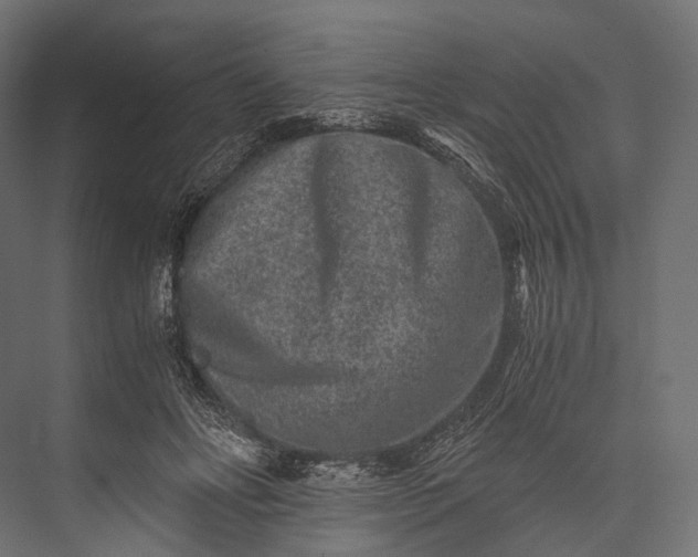 X0000076050502200610061514