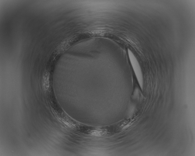 X0000076050504200610061514