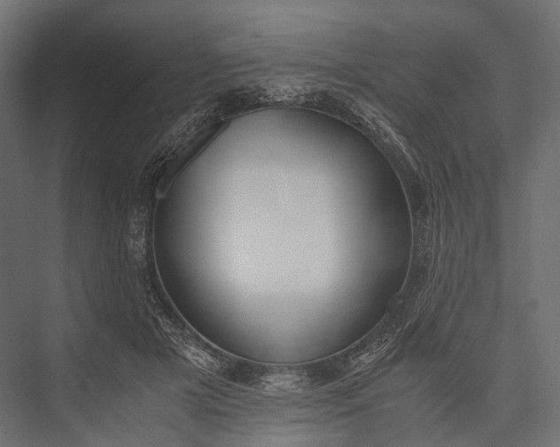 X0000076050505200610061514