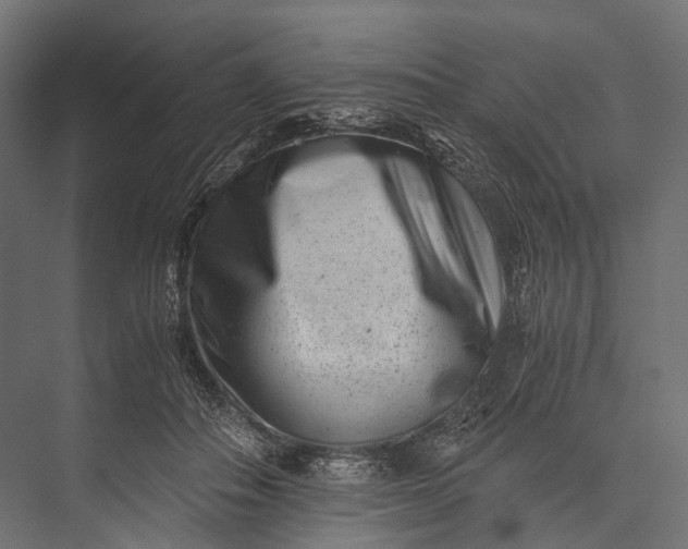 X0000076050506200610061514