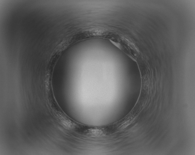 X0000076050509200610061513
