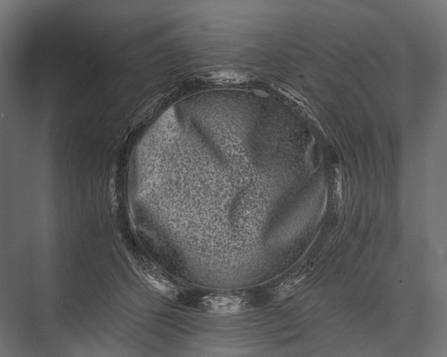 X0000076050512200610061513