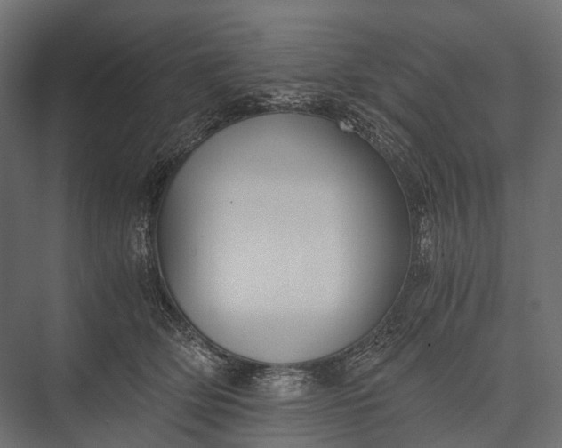 X0000076050514200610061513