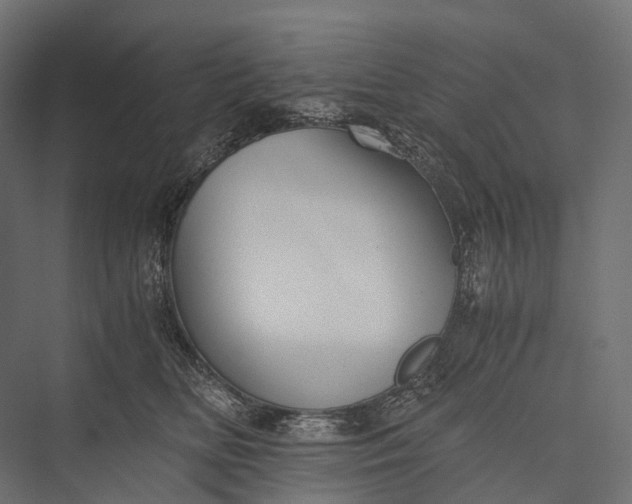 X0000076050518200610061513